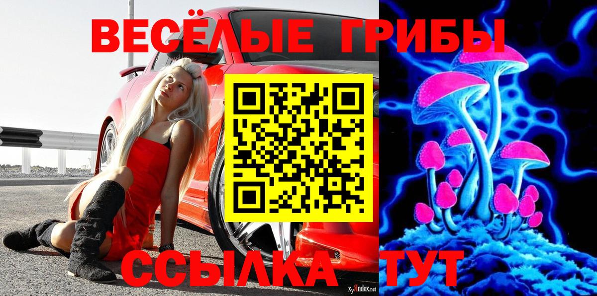 Псилоцибиновые грибы мухоморы Краснознаменск